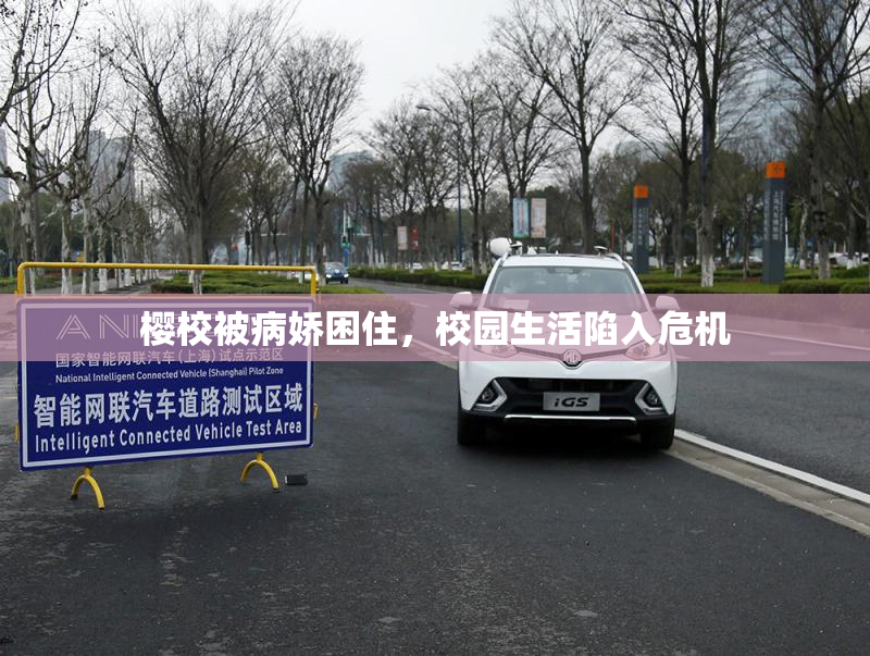 樱校被病娇困住，校园生活陷入危机