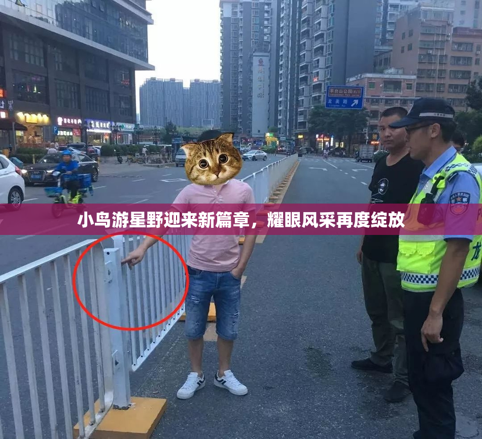 小鸟游星野迎来新篇章，耀眼风采再度绽放