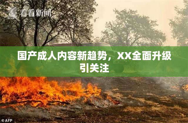 国产成人内容新趋势，XX全面升级引关注