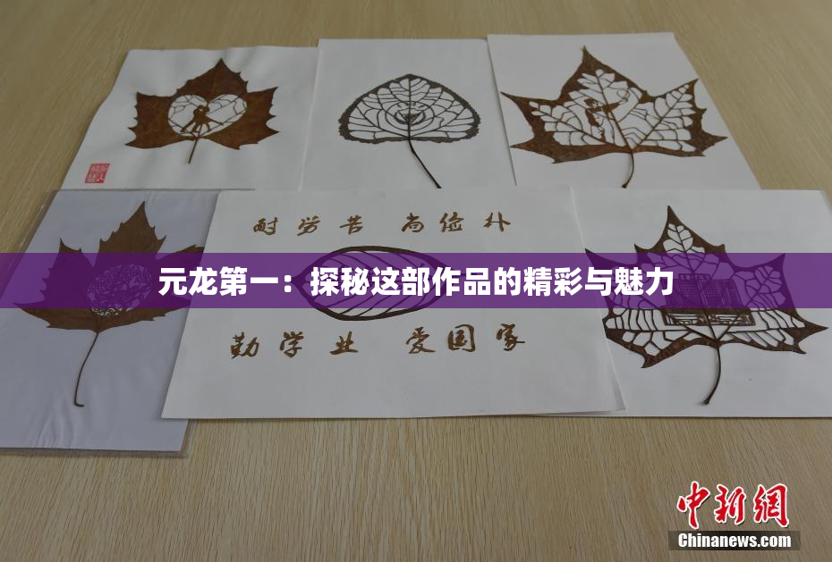 元龙第一：探秘这部作品的精彩与魅力