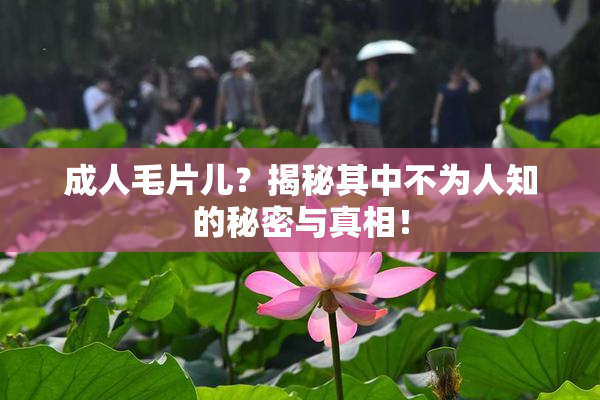 成人毛片儿？揭秘其中不为人知的秘密与真相！