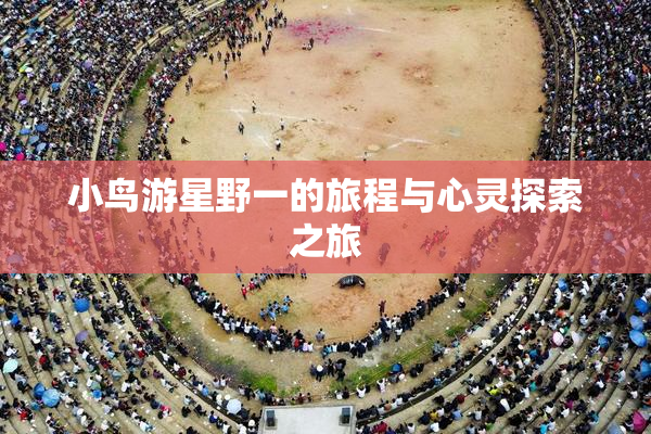 小鸟游星野一的旅程与心灵探索之旅