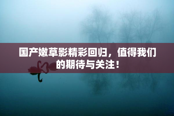 国产嫩草影精彩回归，值得我们的期待与关注！