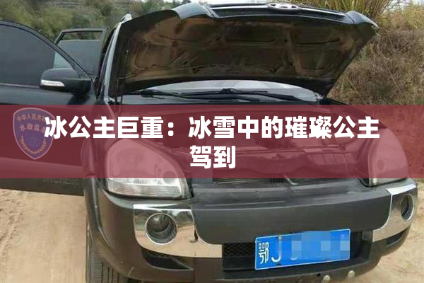 冰公主巨重：冰雪中的璀璨公主驾到