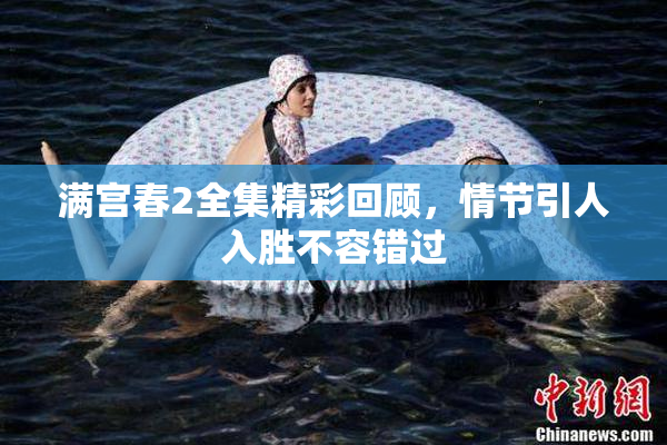 满宫春2全集精彩回顾，情节引人入胜不容错过