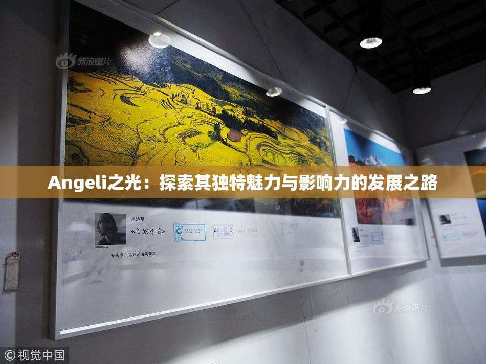 Angeli之光：探索其独特魅力与影响力的发展之路