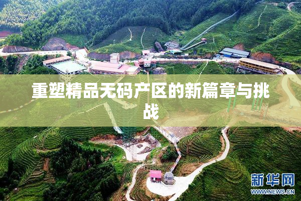 重塑精品无码产区的新篇章与挑战