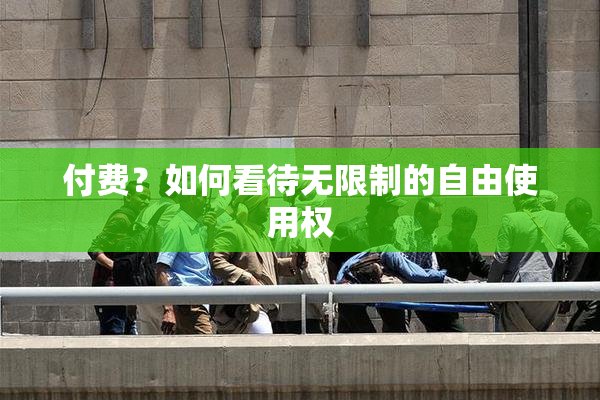 付费？如何看待无限制的自由使用权