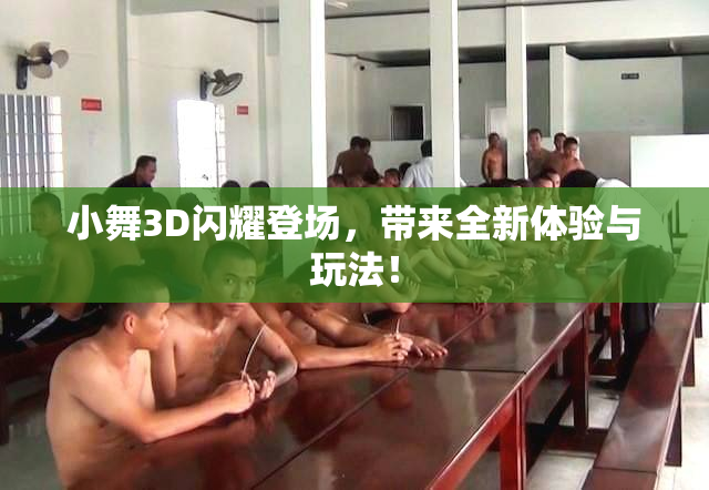 小舞3D闪耀登场，带来全新体验与玩法！