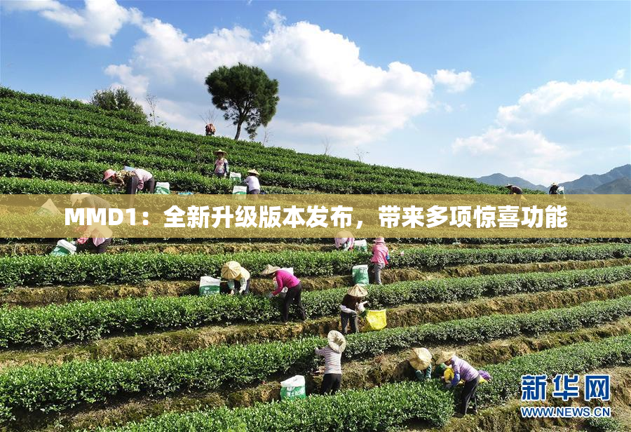 MMD1：全新升级版本发布，带来多项惊喜功能