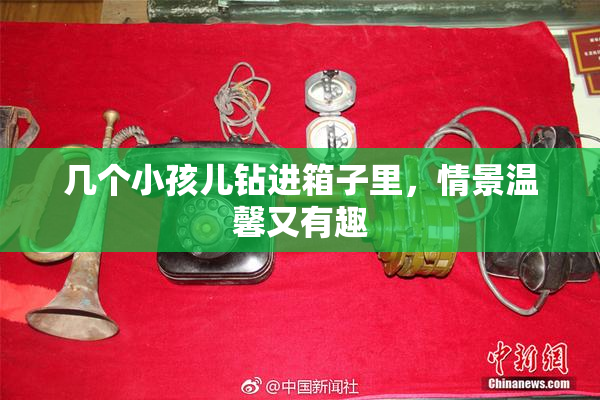几个小孩儿钻进箱子里，情景温馨又有趣