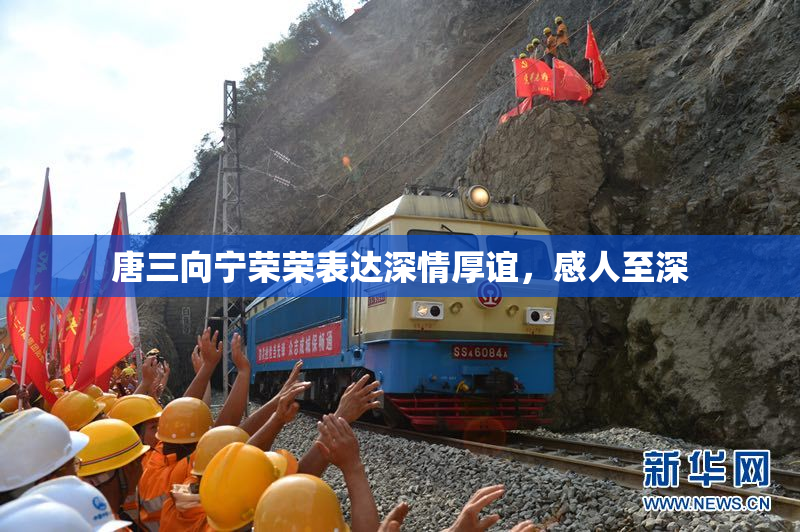 唐三向宁荣荣表达深情厚谊，感人至深