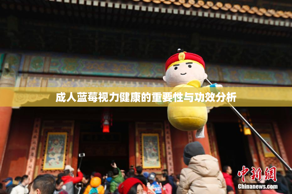 成人蓝莓视力健康的重要性与功效分析