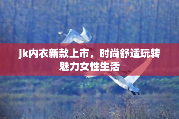 jk内衣新款上市，时尚舒适玩转魅力女性生活