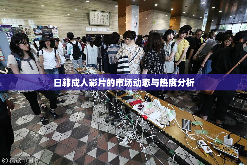 日韩成人影片的市场动态与热度分析