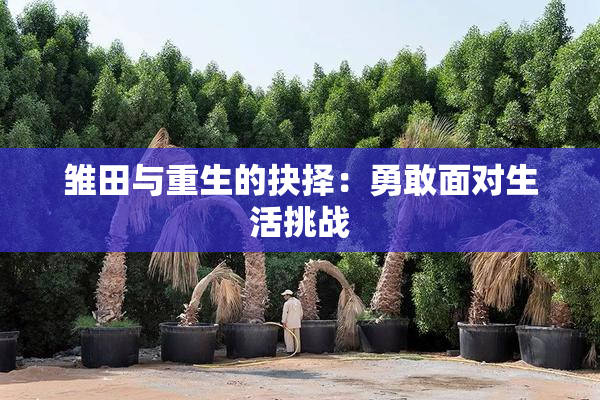雏田与重生的抉择：勇敢面对生活挑战