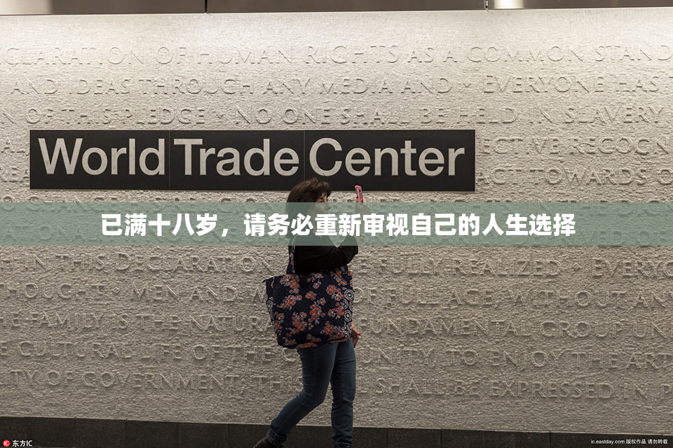 已满十八岁，请务必重新审视自己的人生选择