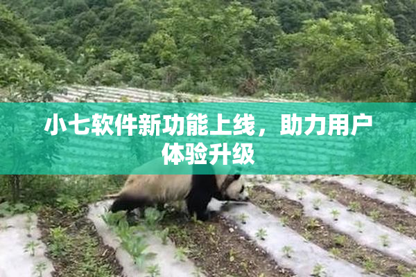 小七软件新功能上线，助力用户体验升级
