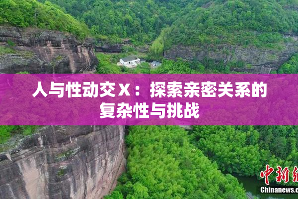 人与性动交Ⅹ：探索亲密关系的复杂性与挑战