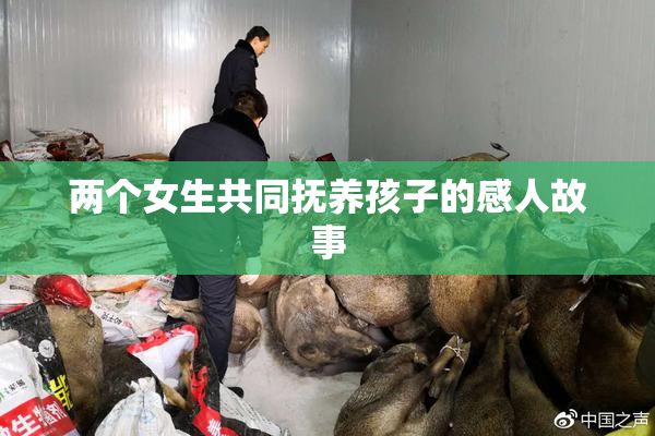 两个女生共同抚养孩子的感人故事