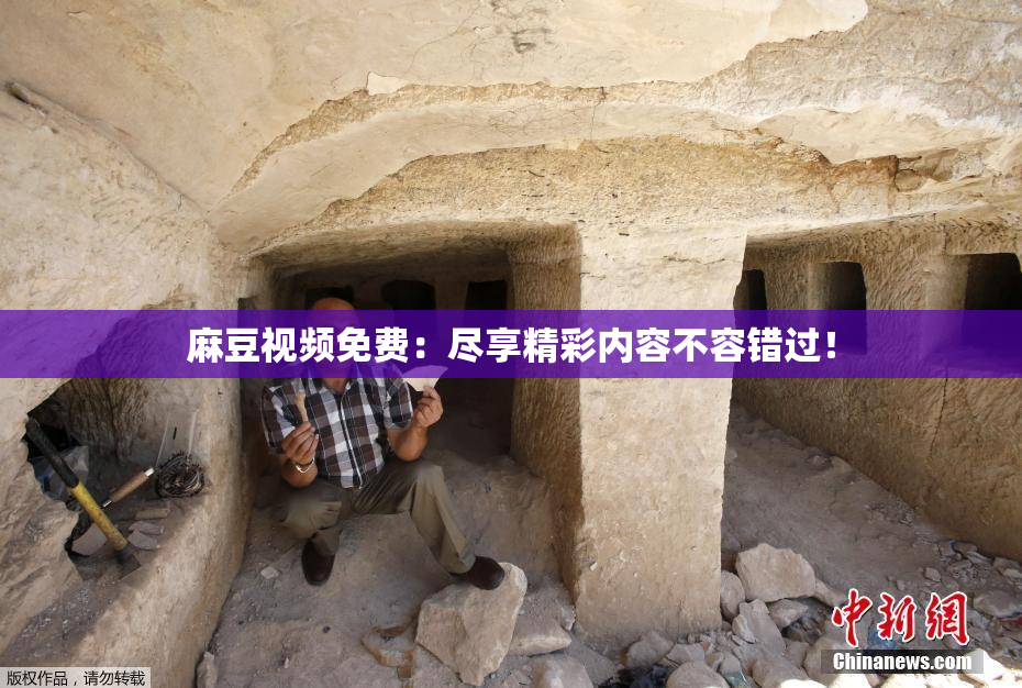 麻豆视频免费：尽享精彩内容不容错过！