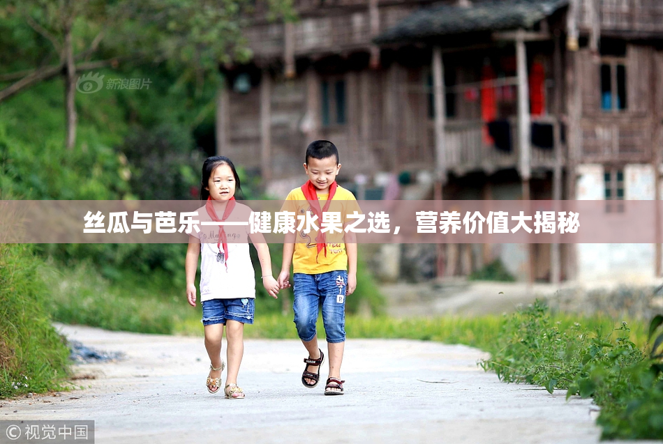 丝瓜与芭乐——健康水果之选，营养价值大揭秘