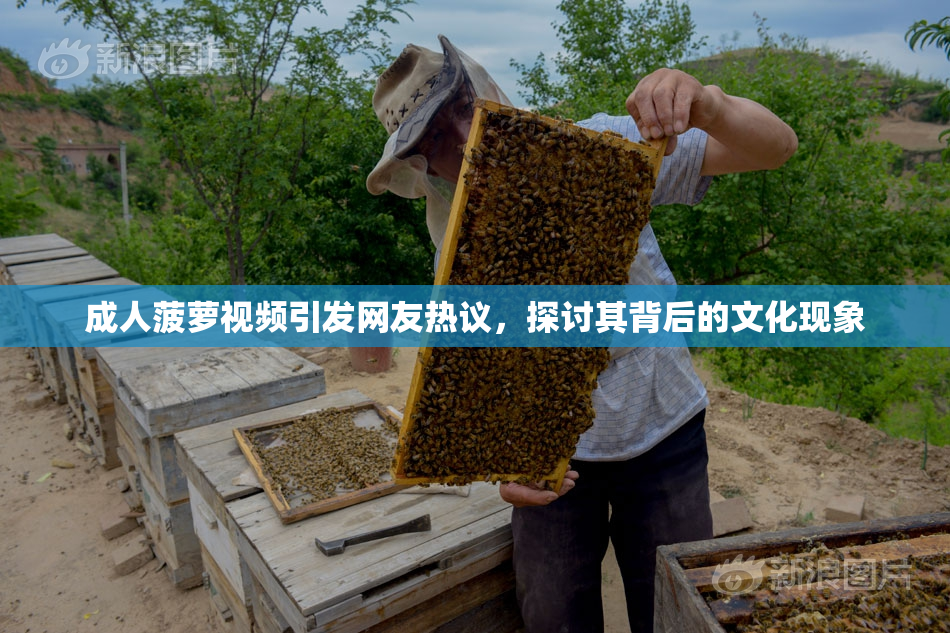 成人菠萝视频引发网友热议，探讨其背后的文化现象