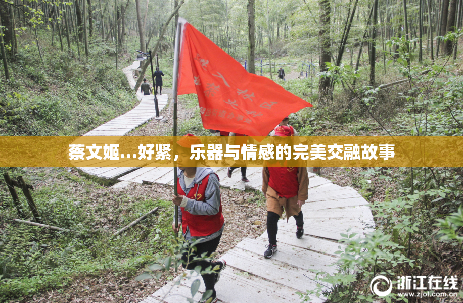 蔡文姬…好紧，乐器与情感的完美交融故事