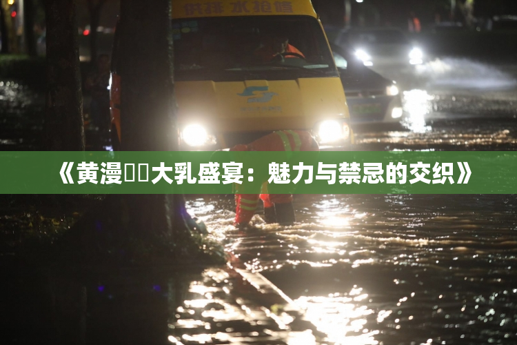 《黄漫❌‌大乳盛宴：魅力与禁忌的交织》