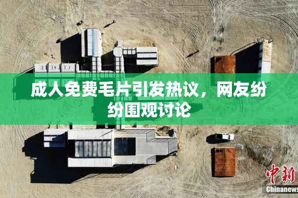 成人免费毛片引发热议，网友纷纷围观讨论