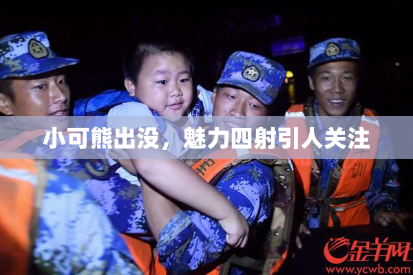 小可熊出没，魅力四射引人关注
