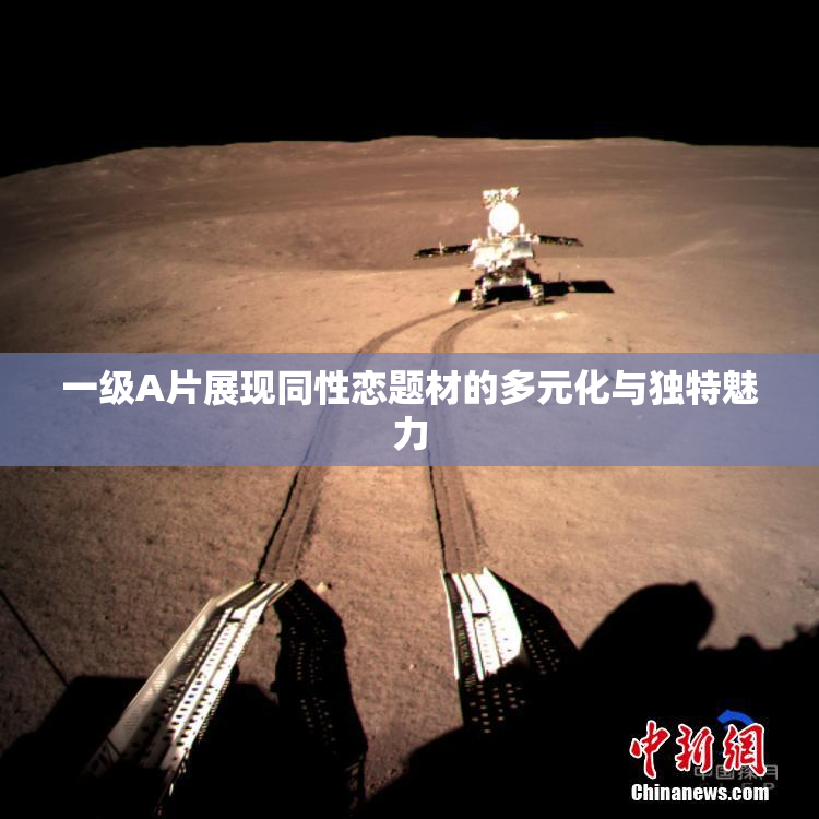 一级A片展现同性恋题材的多元化与独特魅力