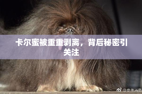 卡尔蜜被重重剥离，背后秘密引关注