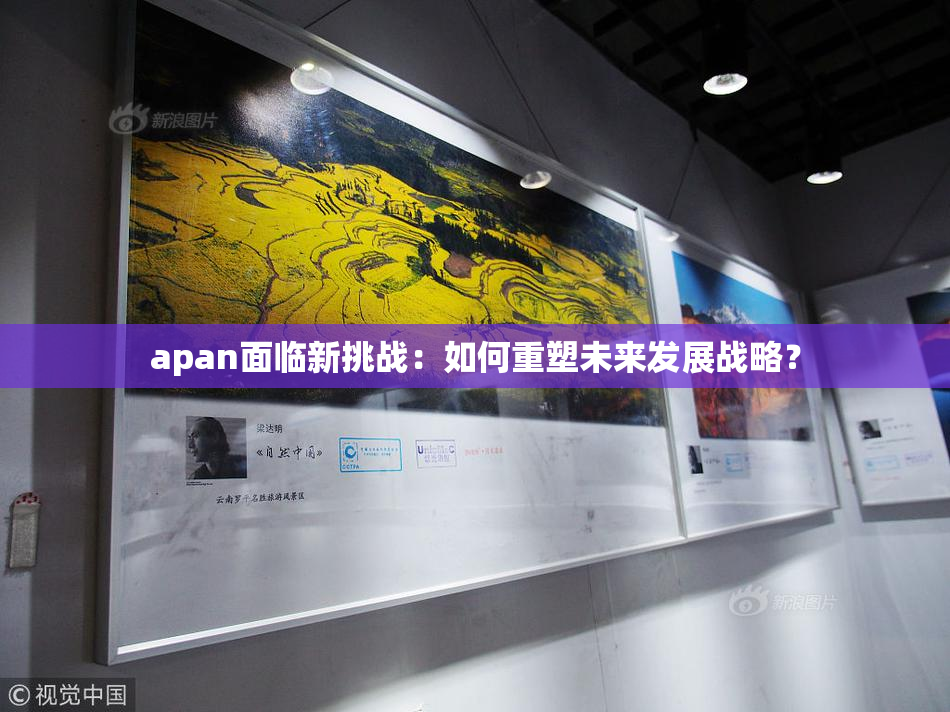 apan面临新挑战：如何重塑未来发展战略？