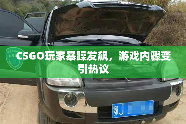 CSGO玩家暴躁发飙，游戏内骤变引热议