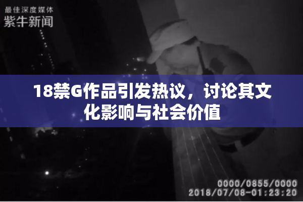 18禁G作品引发热议，讨论其文化影响与社会价值