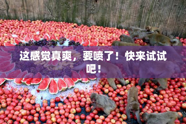 这感觉真爽，要喷了！快来试试吧！