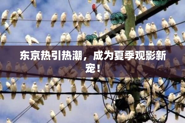 东京热引热潮，成为夏季观影新宠！