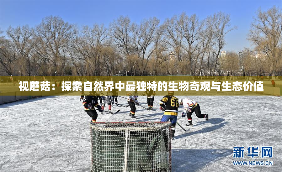 视蘑菇：探索自然界中最独特的生物奇观与生态价值