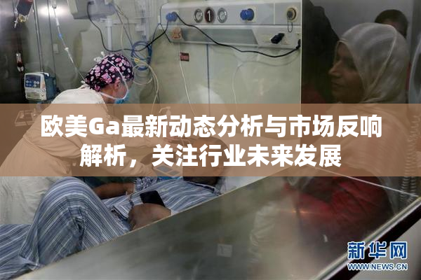 欧美Ga最新动态分析与市场反响解析，关注行业未来发展