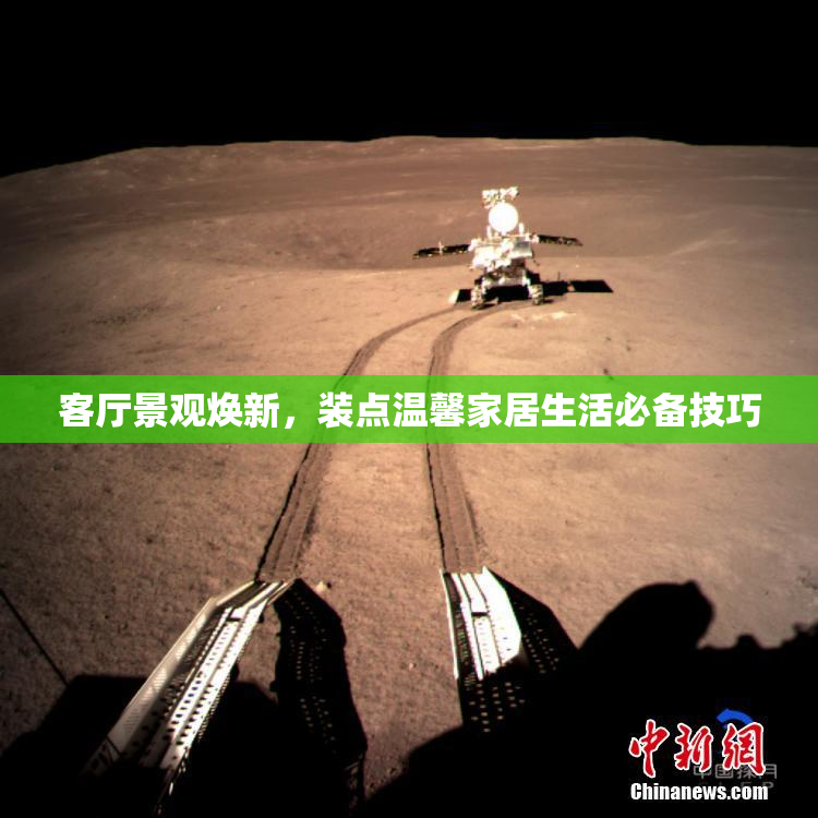 客厅景观焕新，装点温馨家居生活必备技巧