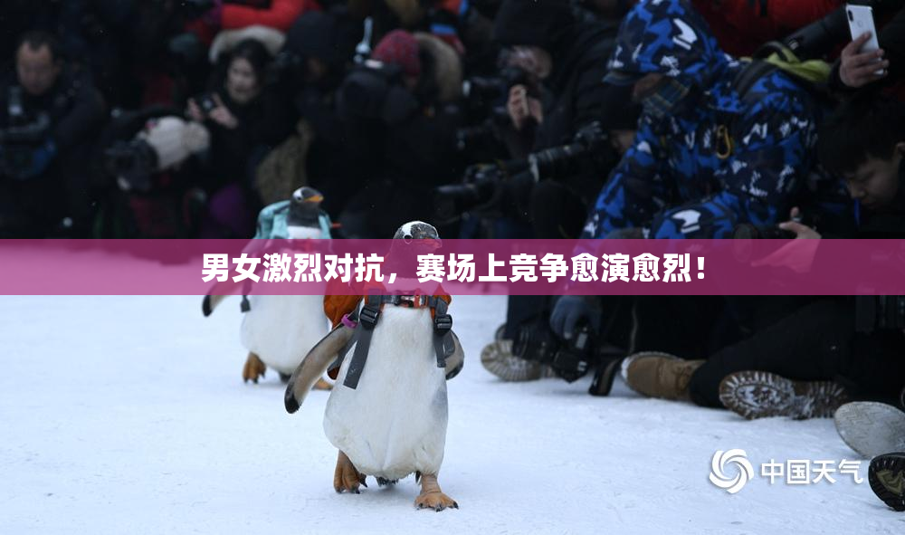 男女激烈对抗，赛场上竞争愈演愈烈！