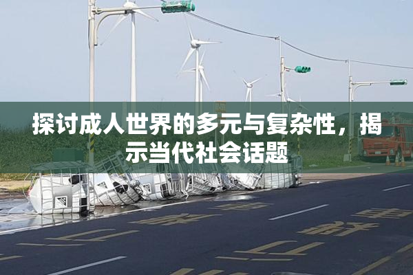 探讨成人世界的多元与复杂性，揭示当代社会话题