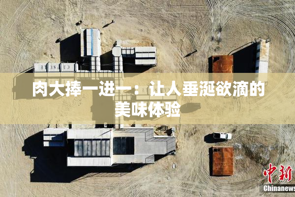 肉大捧一进一：让人垂涎欲滴的美味体验