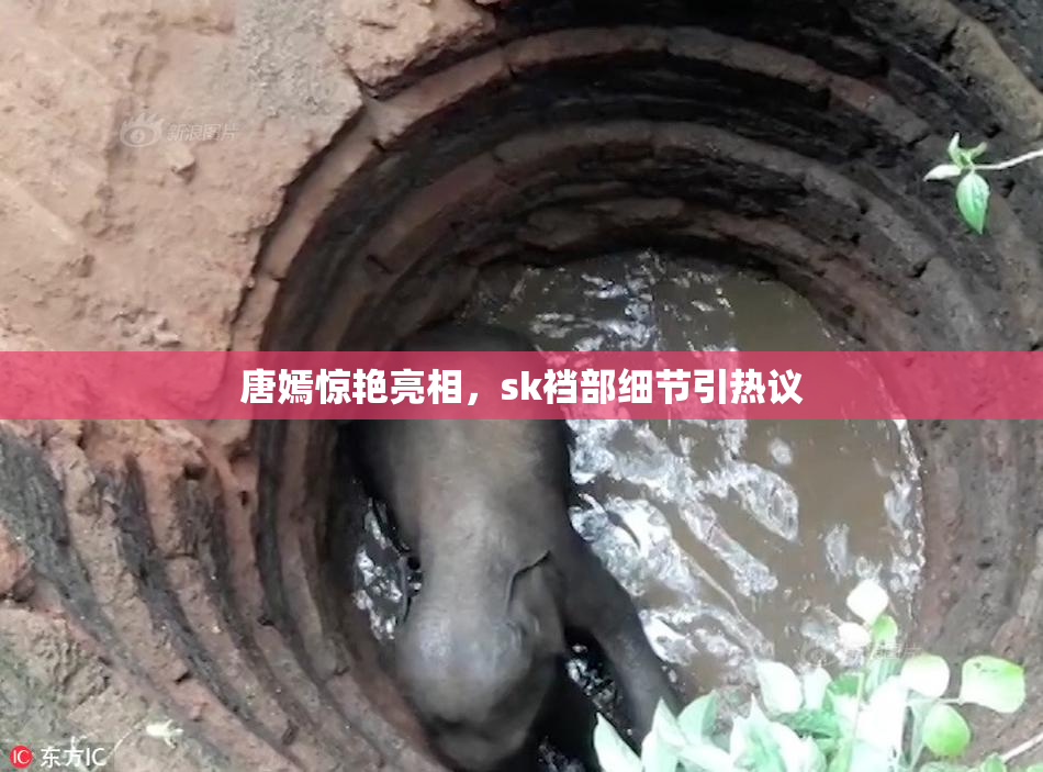唐嫣惊艳亮相，sk裆部细节引热议