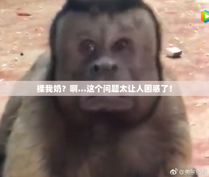 揉我奶？啊…这个问题太让人困惑了！
