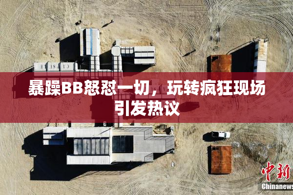 暴躁BB怒怼一切，玩转疯狂现场引发热议