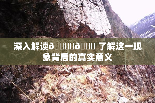 深入解读🔞‌🍌 了解这一现象背后的真实意义