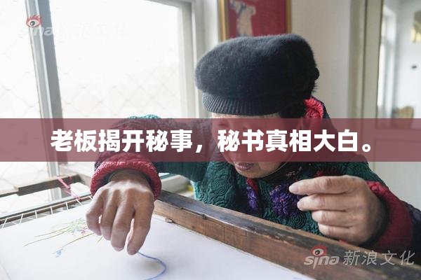 老板揭开秘事，秘书真相大白。