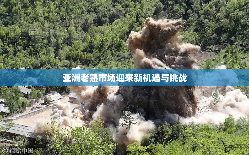 亚洲老熟市场迎来新机遇与挑战